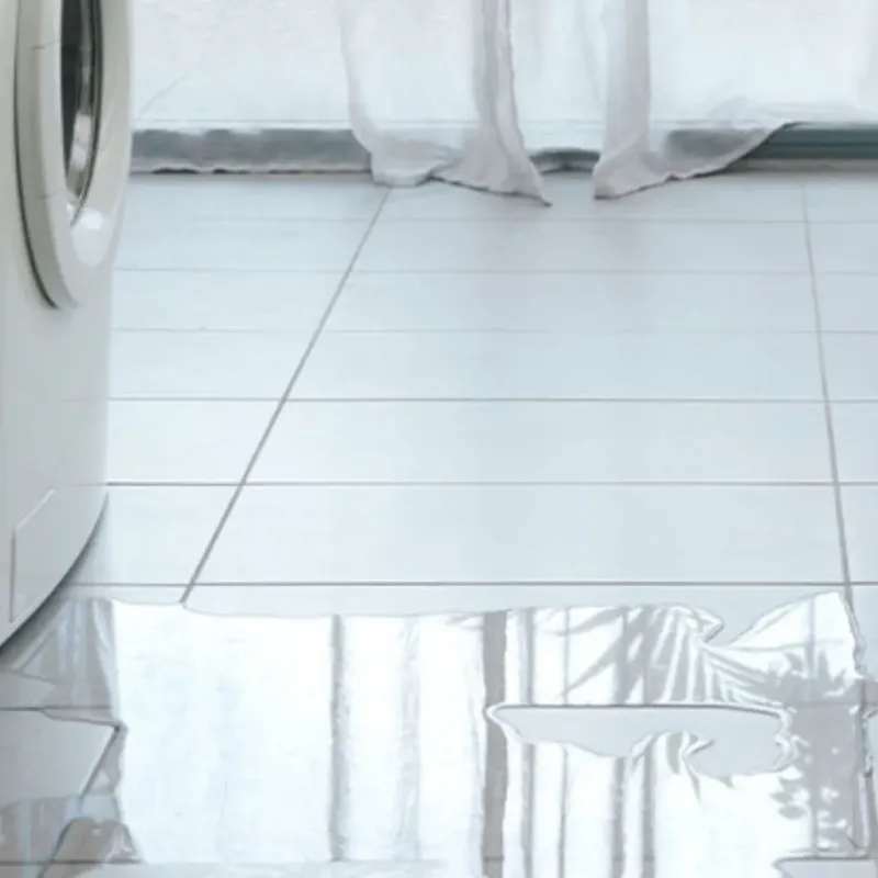 Appliance Leak Cleanup in Milford, DE