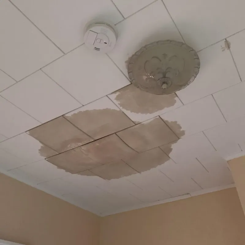 Ceiling Water Damage Repair in Milford, DE