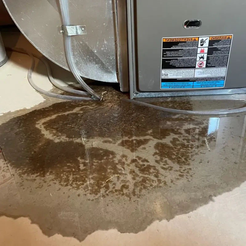 Pipe Burst and Leak Restoration in Milford, DE