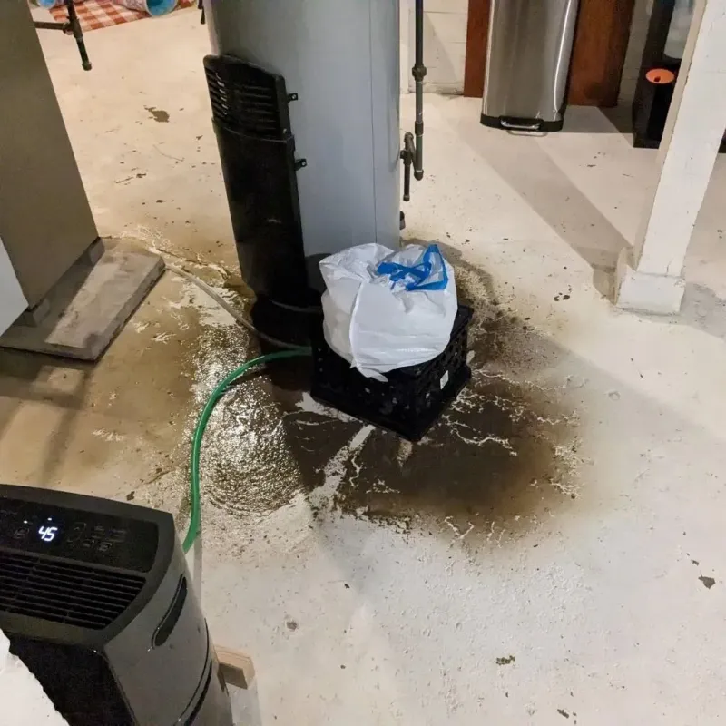 Sewage Backup Cleanup Service in Milford, DE